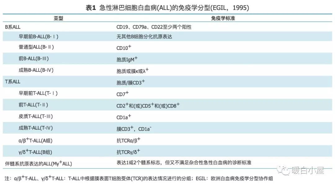 ALL分型 表1.png