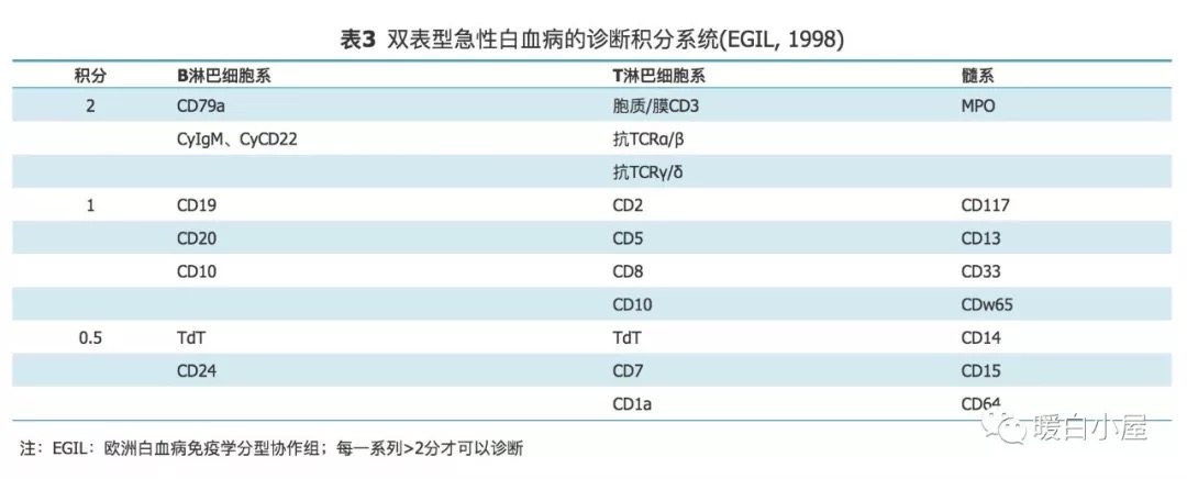 ALL分型 表3.png