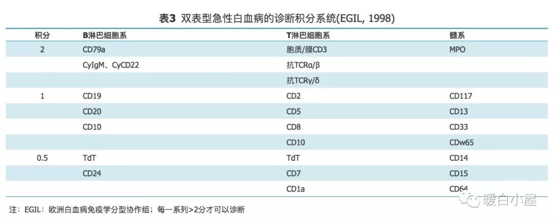 ALL分型 表3.png