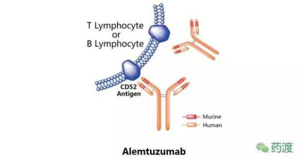 Alemtuzumab.jpg