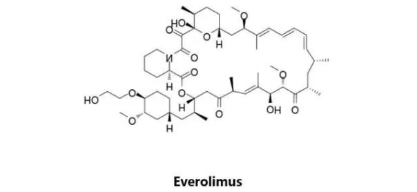 Everolimus.jpg