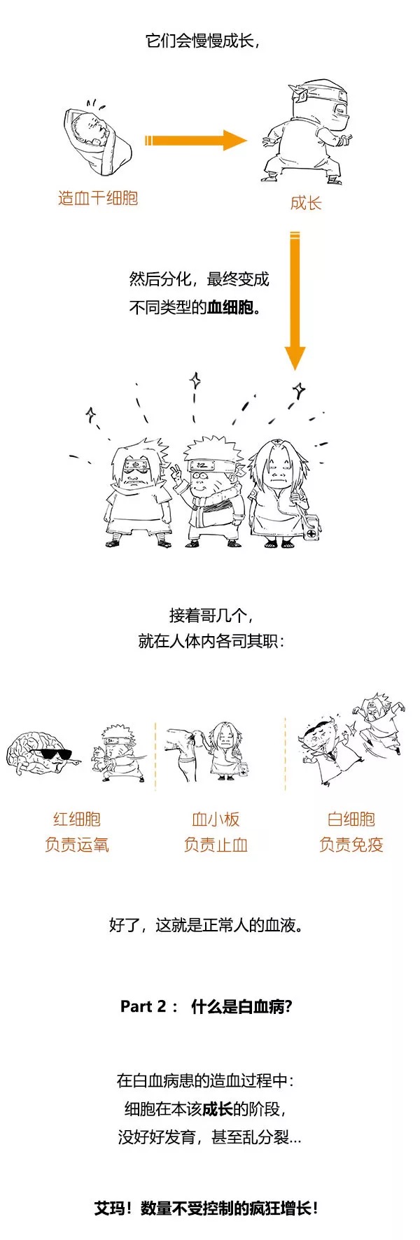 漫画科普什么是白血病3.png