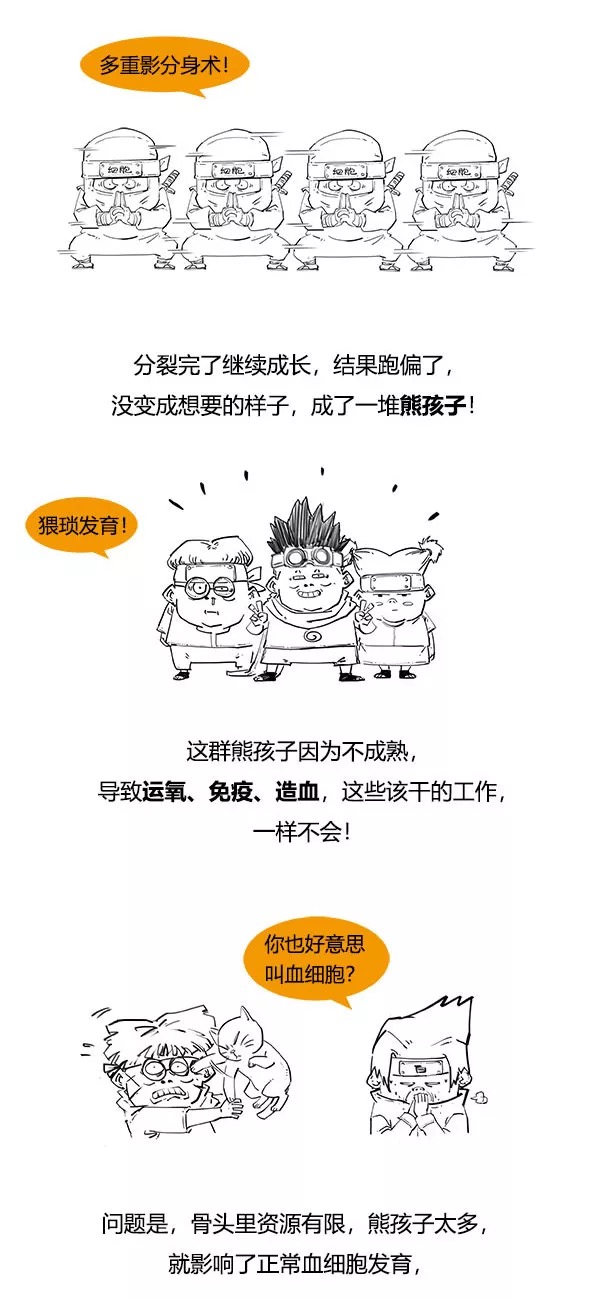 漫画科普什么是白血病4.png