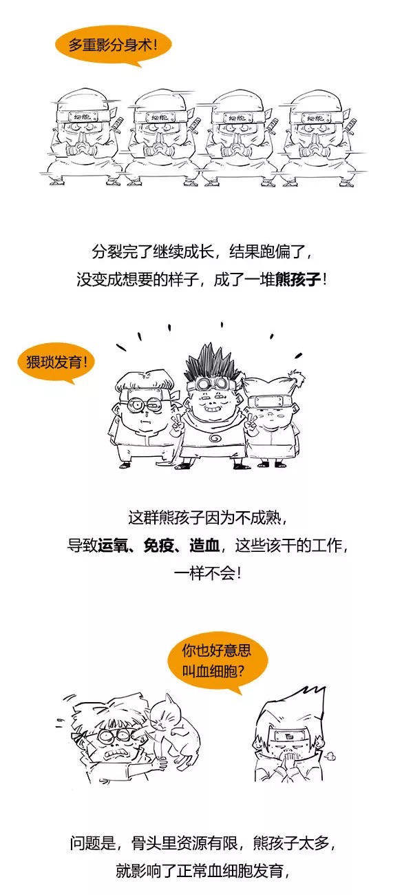 漫画科普什么是白血病4.png