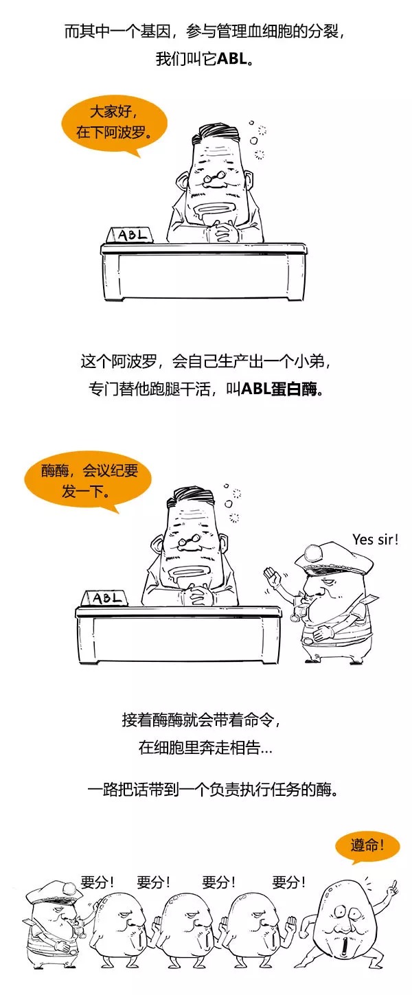 漫画科普什么是白血病9.png