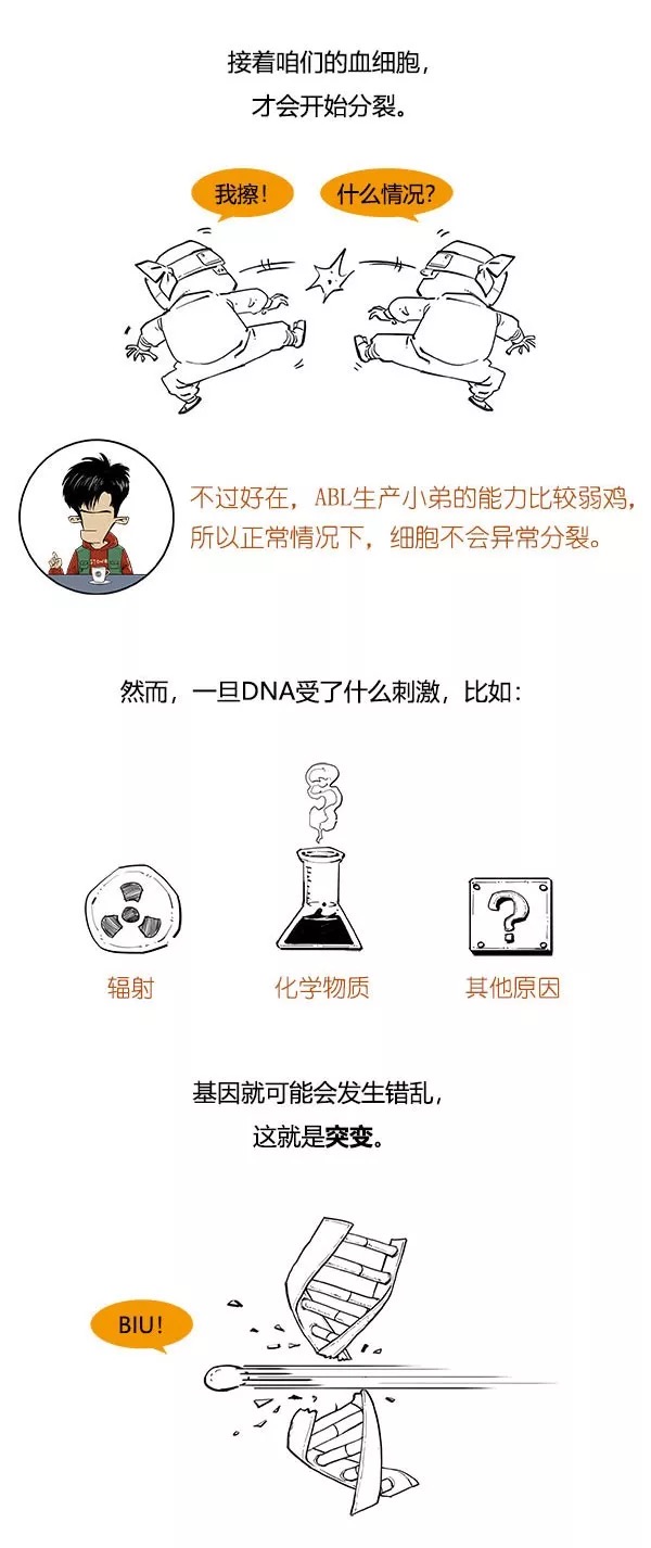 漫画科普什么是白血病10.png