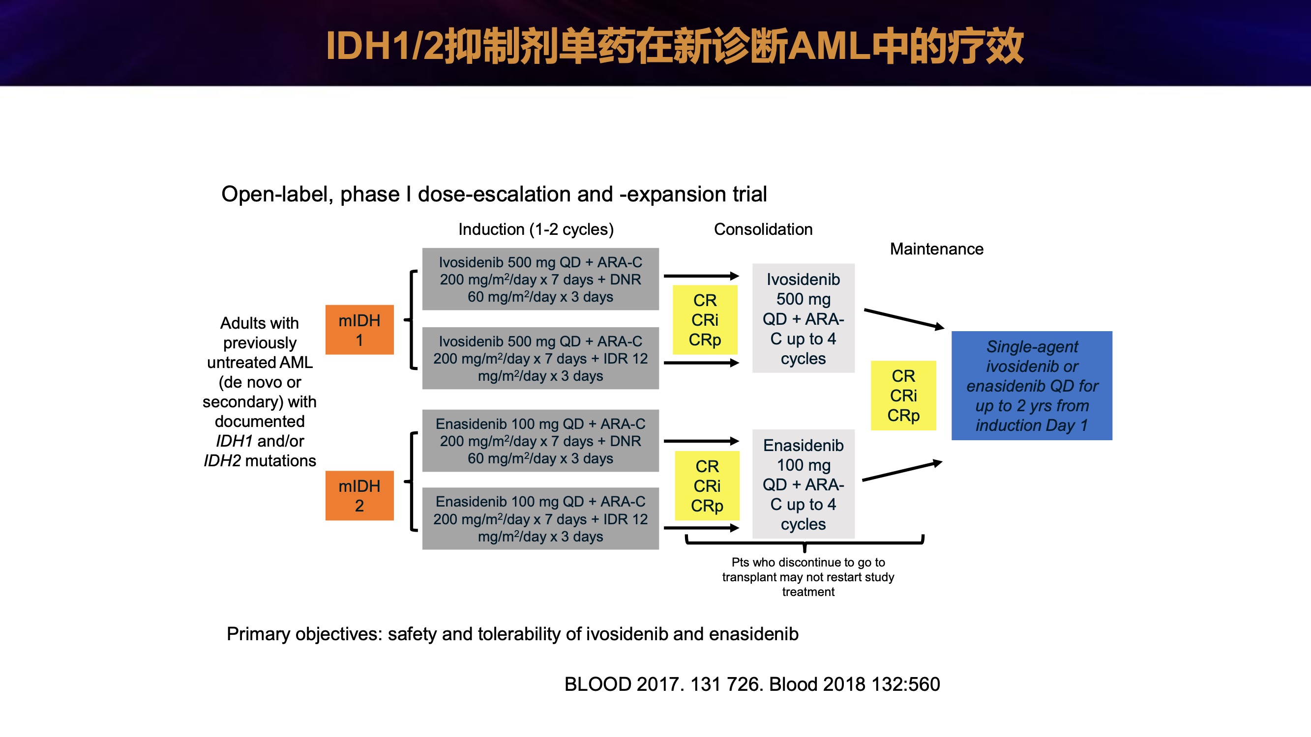 2019年白血病年终盘点 16.jpeg