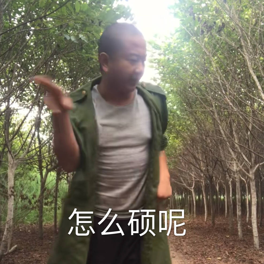 怎么硕呢.jpg