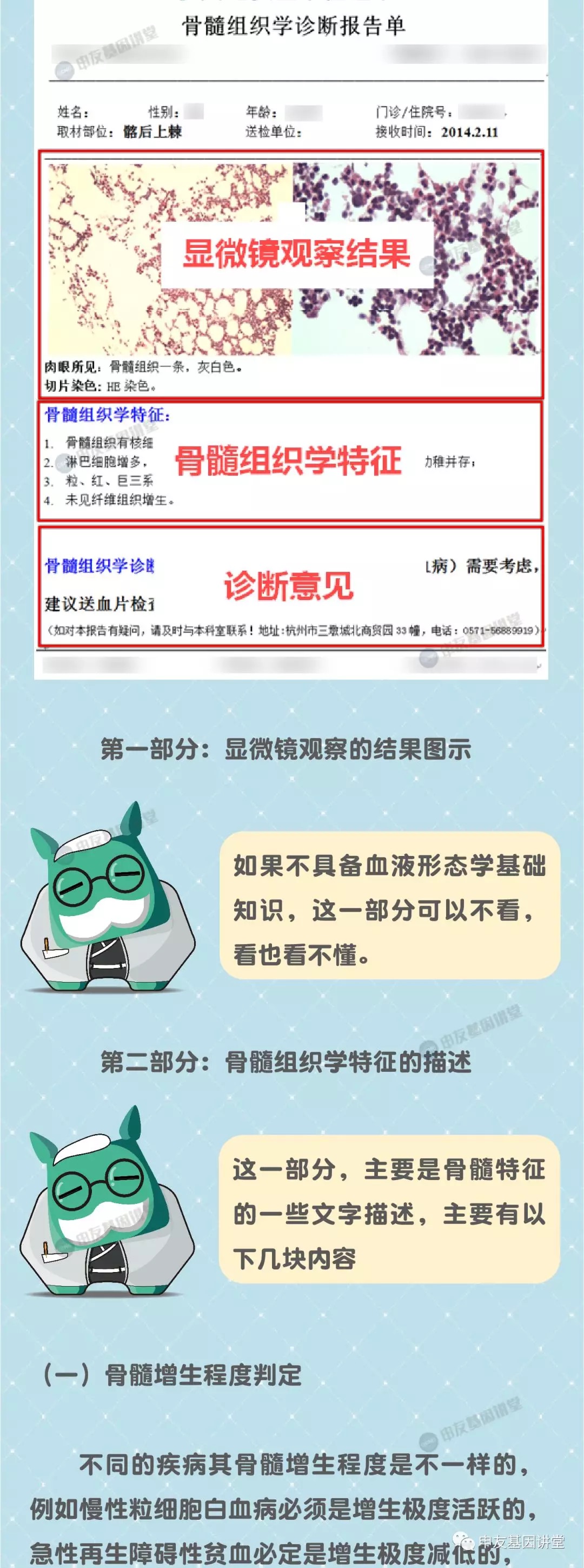 读懂骨髓活检报告2.png