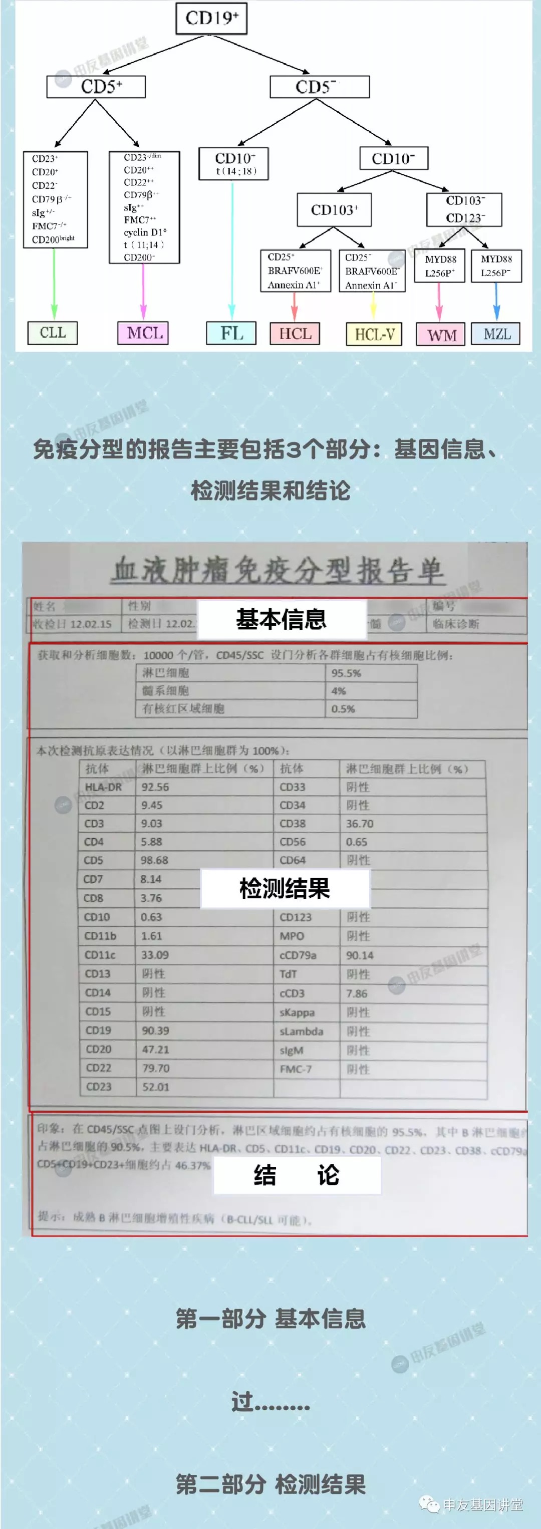 看懂免疫分型报告单2.png