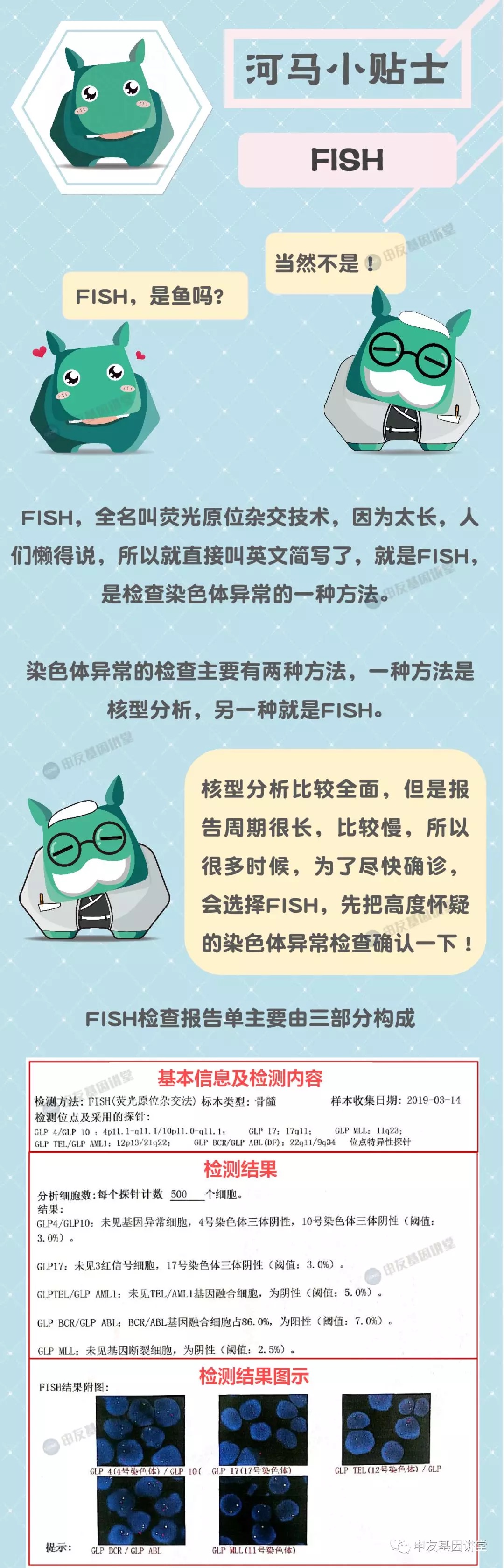 FISH报告怎么看1.png