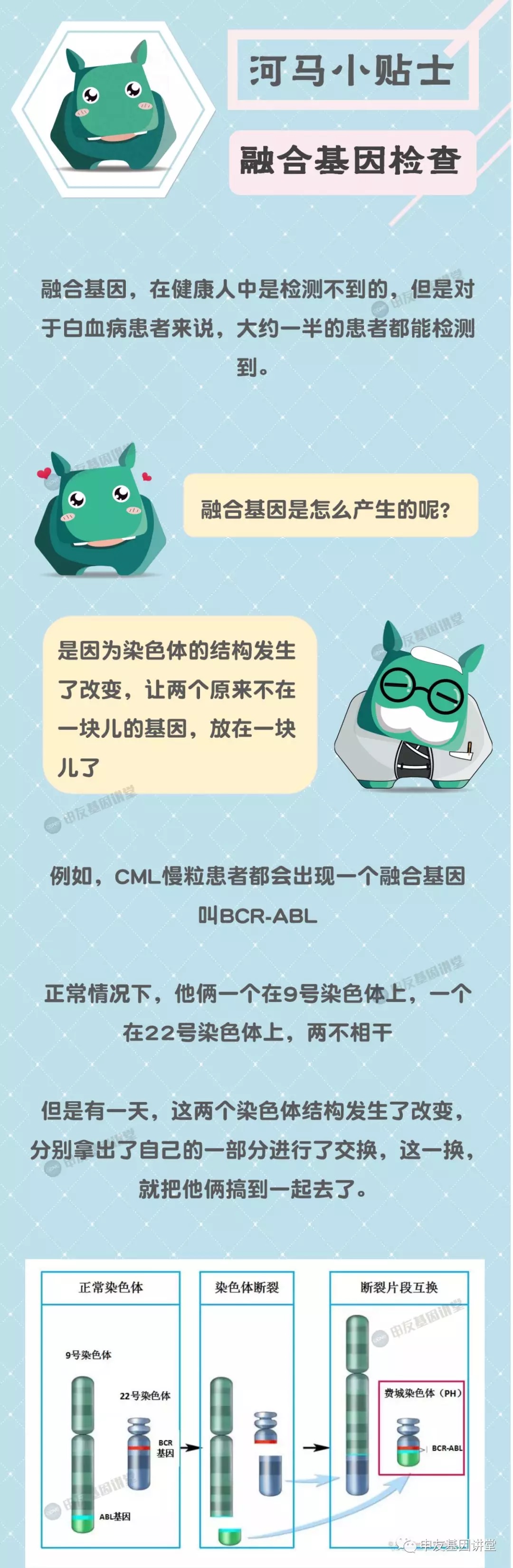 融合基因报告怎么看1.png