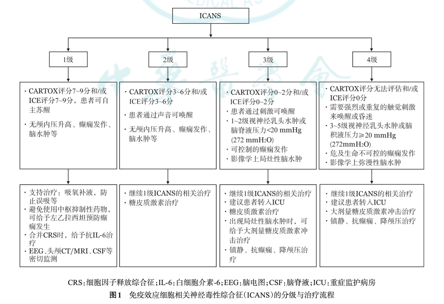 ICANS分级诊与治疗流程.png