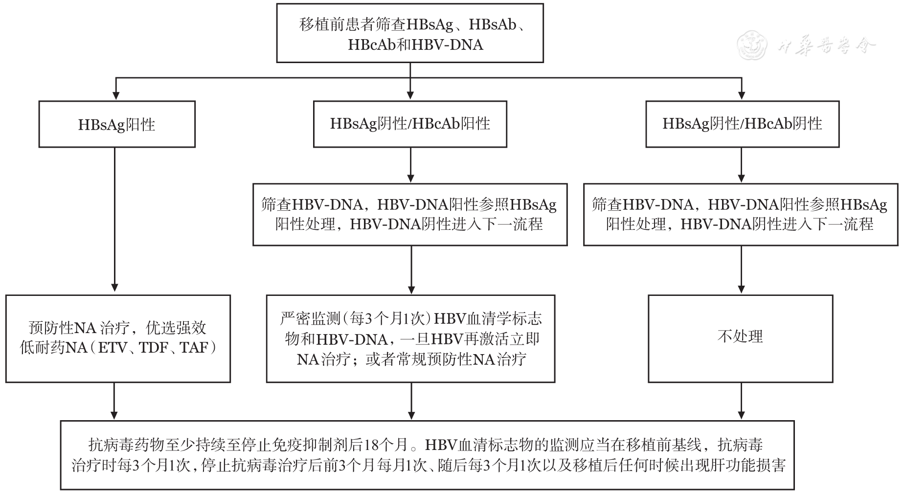 乙肝病毒再激活管理流程.png